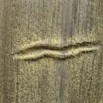 Titkos jel az arcon Hogyan árulja el egy ránc az orrán a pollenre adott rejtett reakciót? titkos-jel-az-arcon-hogyan-arulja-el-egy-ranc-az.webp.webp